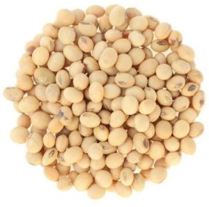 Nature Yellow Soybean Seeds Dried, Packaging Type : Plastic Bags