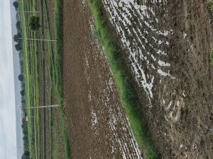 Agriculture Land Sales Service