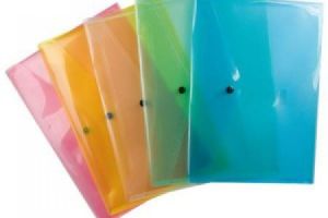 Alameen Plastic File Cover Letter Size (8.5 X 11 Inches)