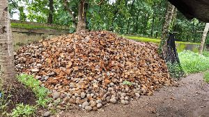 Coconut Husk