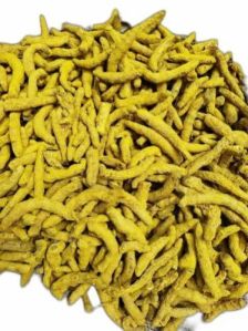 Salem Turmeric Finger, Packaging Size : 25-50kg Food Grade