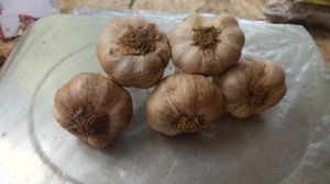 Kodaikanal Hill Garlic, Packaging Size : 50Kg Loose, Net Bag