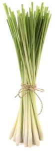 Organic Lemongrass, Brand Name : AgriGro
