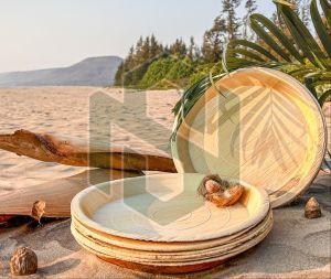 Smooth Plain 12 Inch Round Areca Leaf Plate, Color : Light Brown