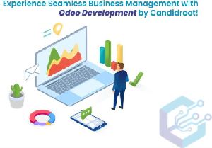 Odoo ERP Development Services