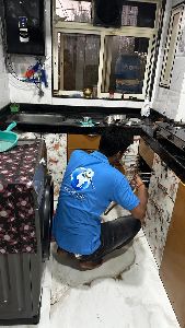 Cockroaches Pest Control Services