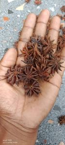 Organic Star Anise, Color : Brown, Grade Standard : Food Grade