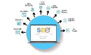 Freelance SEO Service