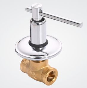 Brass Concealed Valve