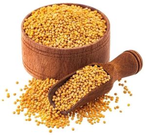 Yellow Mustard Seeds, Packaging Size : 5-25kg 9%