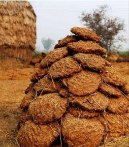 cow dung cakes