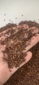 sesame seeds REGULAR, Purity : 99.52