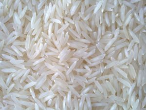 Indian Jay Shree RAM Medium Grain Rice, Color : White