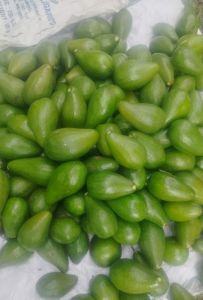 Green Fuerte Avocado