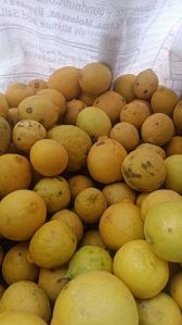 Organic A Grade Lemon, Packaging Type : Yellow