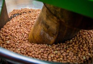 cold pressed groundnut oil