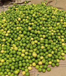 Organic Lemon, Color : Yellow for Juice, Pickles, Drinks