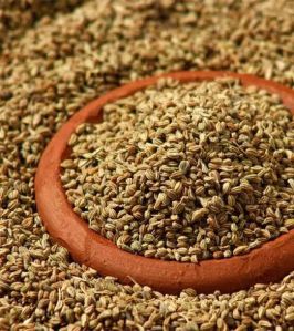 Natural Carom Seeds Dried, Grade Standard : Food Grade