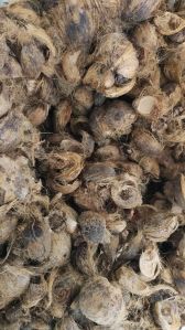 Areca Nut Husk