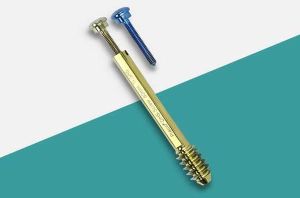 Bone Screws
