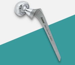 Non Fenestrated Bipolar Prosthesis