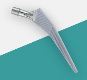 Medicinal Herbal Plants