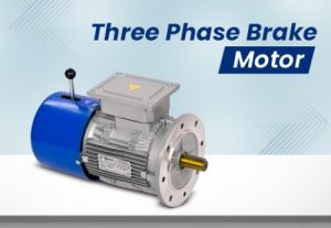 3 Phase Motor