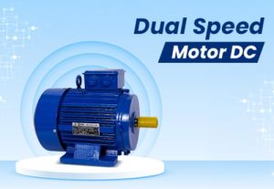 Dual Speed Motor