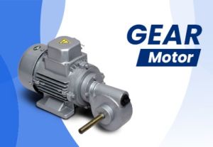 Gear Motor