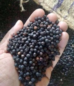 Organic Black Pepper, Form : Whole, Grade Standard : Food Grade