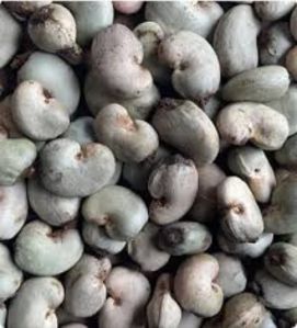 Natural Raw Cashew, Color : White, Form : Solid
