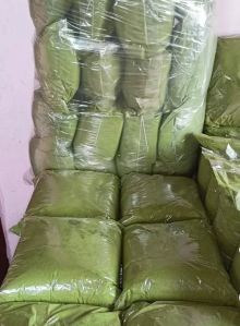 moringa leaves powder