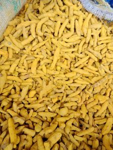 Yellow Turmeric Finger, Packaging Size : 25-50kg Food Grade
