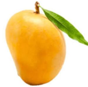 Mangoes