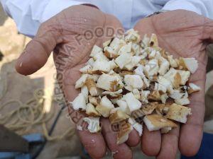 Raw Chicory, Color : White, Packaging Type : Loose