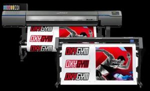 Roland Dgxpress Eco Solvent Printers