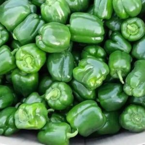 Fresh Green Capsicum