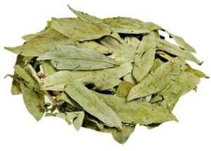 Senna Leaves, Packaging Type : Plastic Paper Packet