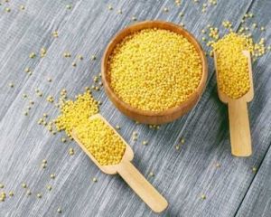 Yellow Millet, Packaging Type : Typically In Bags Or Bulk