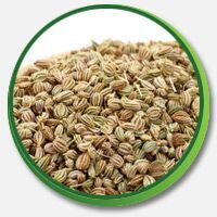 Celery Seeds (Bishops Seeds), Color : Brown
