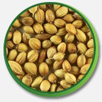 Coriander Seeds, Color : Natural for Cooking, Medicines