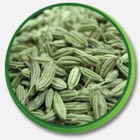 Fennel Seeds