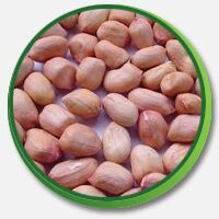 Ground Nut,  Origin : Harvested From Peanut Plants