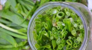 Green Onion Brine