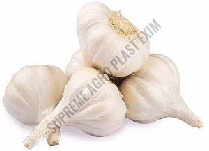A Grade Fresh Garlic, Color : White, Packaging Type : Mesh Bag