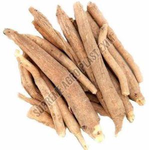 Solid Dry Ashwagandha Root, Packaging Type : Brown