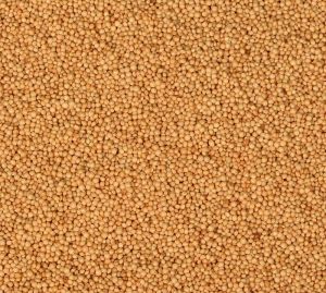 Amaranth Seeds, Color : Brown for Cooking, Baking