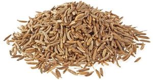 cumin seeds