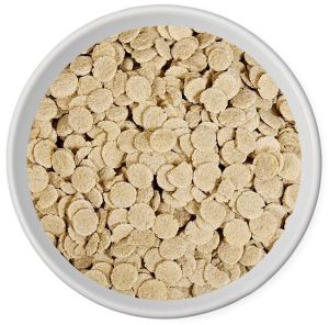 Extruded Foxtail Millet Flakes