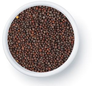 Mustard Seeds, Color : Dark Brown To Black